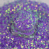 Chromatic Crazes Glitter | Violet - 1