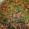 Chromatic Crazes Glitter | Green/Orange - Glitz Your Life