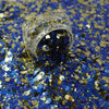 Prism Party Glitter | Blue/Silver - Glitz Your Life